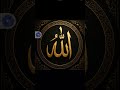 #allah #massallah #allah #molaali #ali