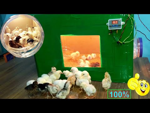 Video: DIY: Sump Pump Aquarium