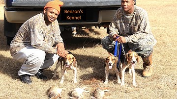 Three Cousins Rabbit Hunt (Benson