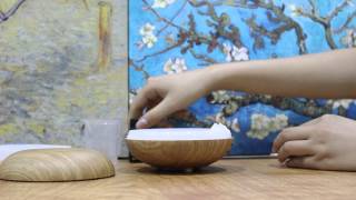 Essential Oil Aroma Diffuser