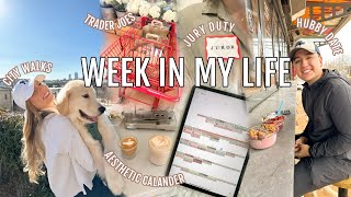 WEEK IN MY LIFE// jury duty, book club, city life, new calendar, + trader joes charcuterie haul!