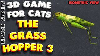 3D game for cats | CATCH THE GRASSHOPPER 3 (isometric view) | 4K, 60 fps, stereo sound screenshot 3