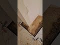 HOW TO INSTALL FLOOR TILES