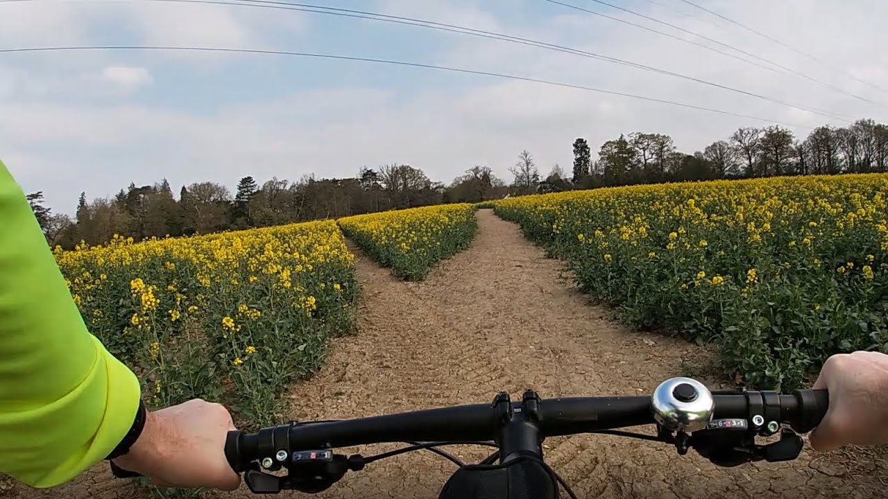 Letchmore Heath, High Cross & Bricket Wood (Hertfordshire) 🚴