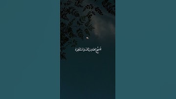 سورة النصر | سلمان العتيبي | تلاوة خاشعة | حالات واتس  #القرآن_الكريم