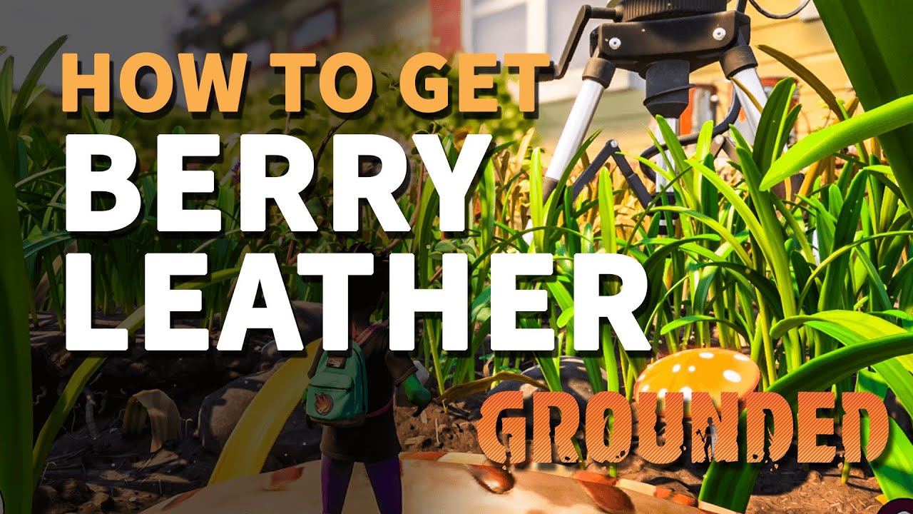 How to get Berry Leather Grounded YouTube