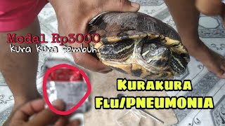 Tips mengobati kura kura pilek | flu | PNEUMONIA