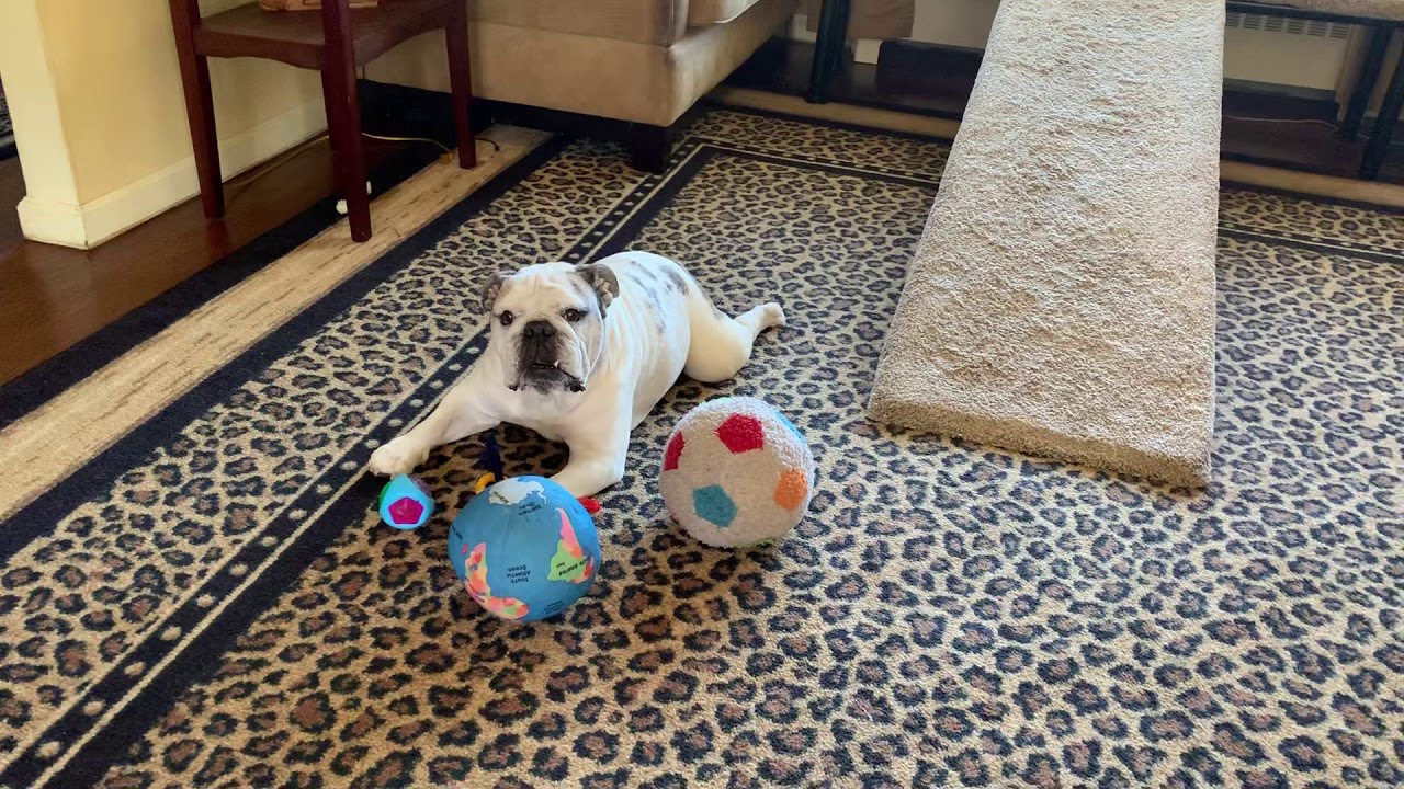 it-s-not-the-balls-in-your-life-youtube