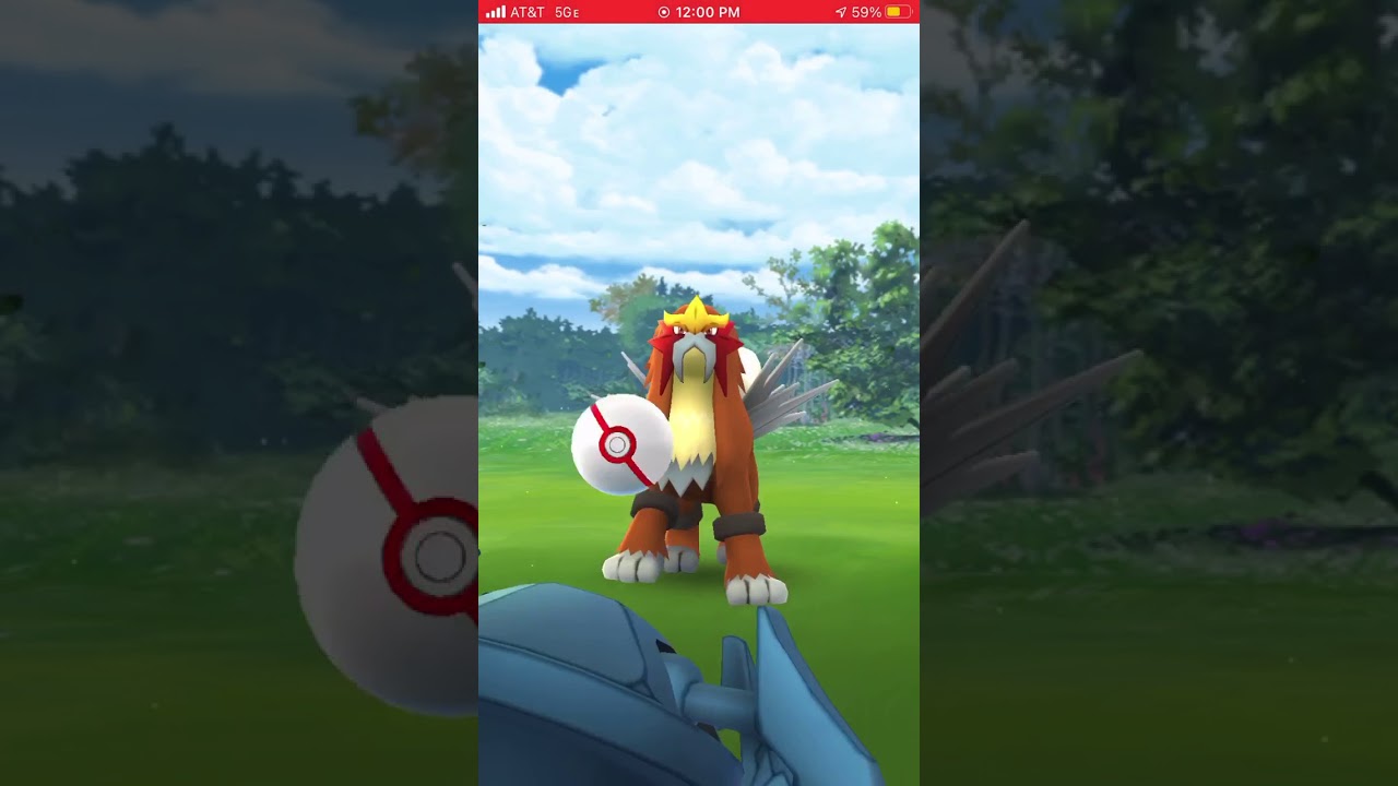Pokemon Go Catch Assist Buddy