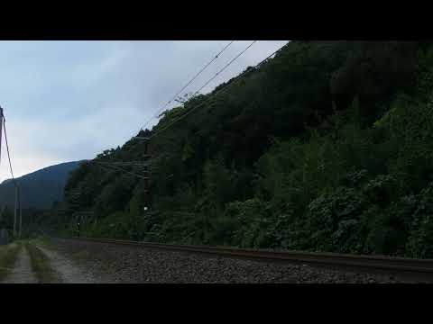 2022年10月15日　単9565レ　EF81-113　後藤入場配給回送牽引機返却　北陸本線　敦賀駅～新疋田駅間PA150016