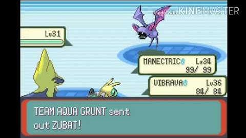 Pokémon Emerald Playthrough Part 20: Lilycove City - Team Aqua Hideout (No Commentary)