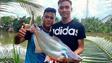 Cá Tra Hầm Lâu Năm Nhúng Giấm Thì Chỉ Có Nhức Nách