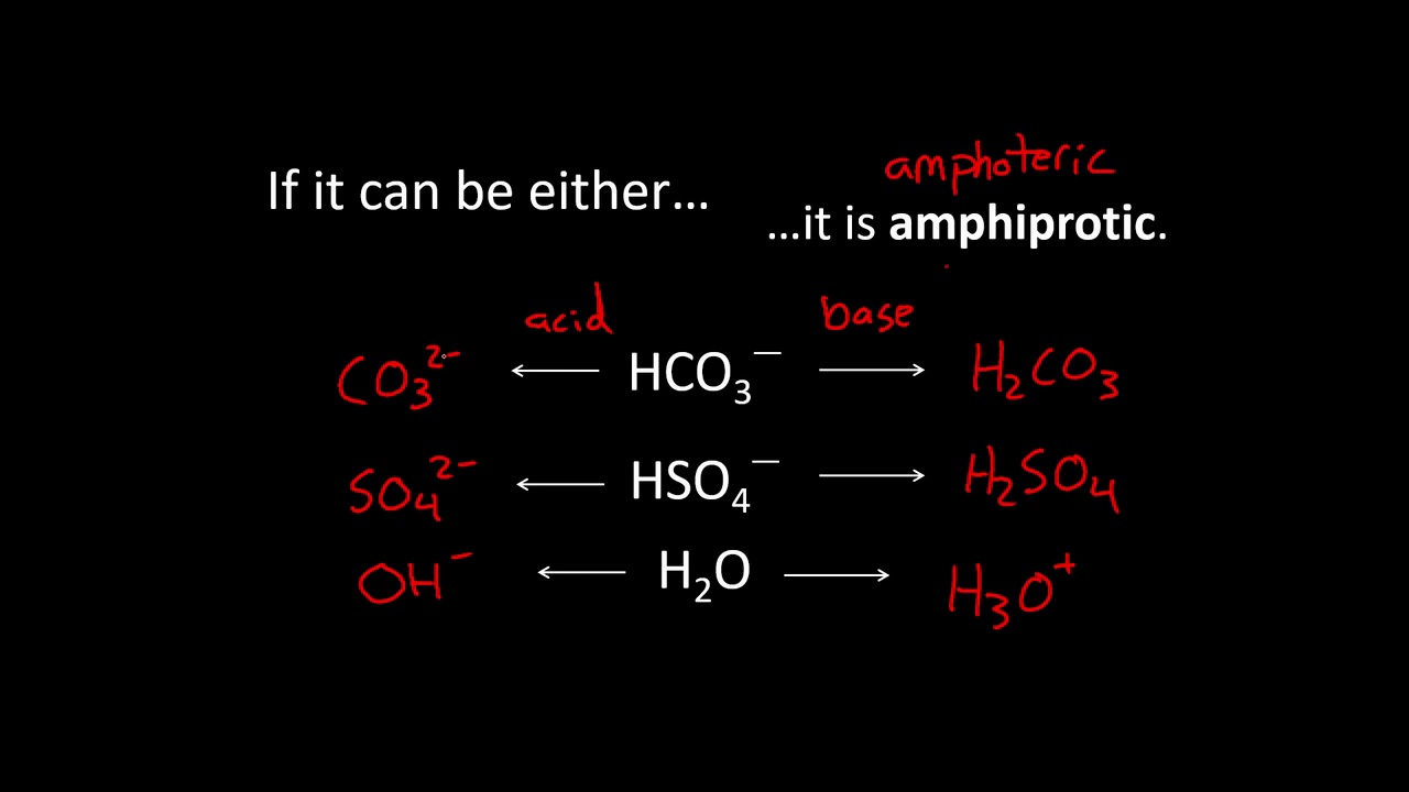 Amphoteric Sign Which Molecule Is Amphoteric? , Amphoteric Definition and Examples – SJRG