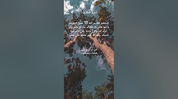 سورة الحجرات الشيخ عبد الباسط عبد الصمد #تدبر_القرآن #ايةوشرح