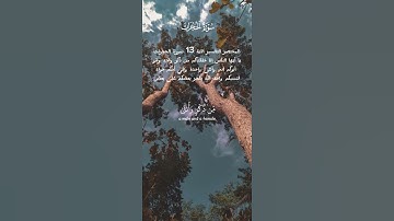 سورة الحجرات الشيخ عبد الباسط عبد الصمد #تدبر_القرآن #ايةوشرح