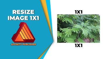 How to resize image in affinity publisher 1x1