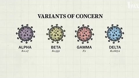 Four Variants: Alpha, Beta, Gamma, Delta