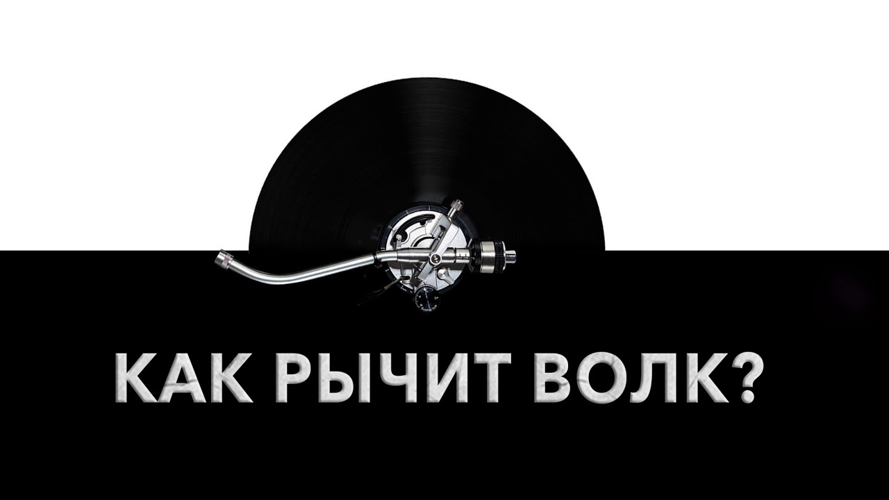 Звук рычащего мотора