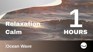 Full Ocean Wave Sounds for Relaxation & Calm (1 Hour) | Restify Studio News