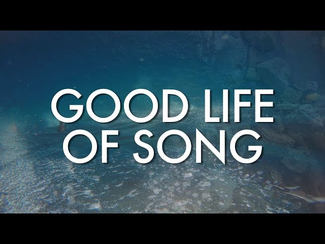 Glen Hansard - Good Life of Song