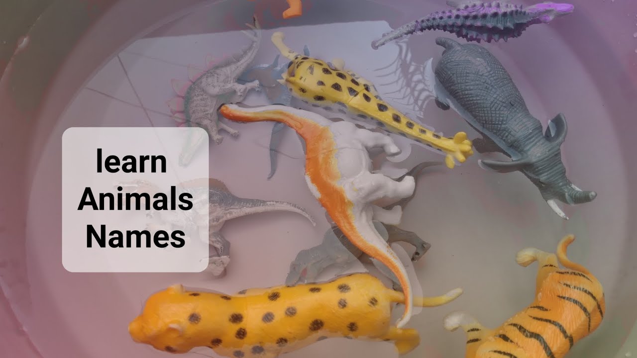 safari wild animals name