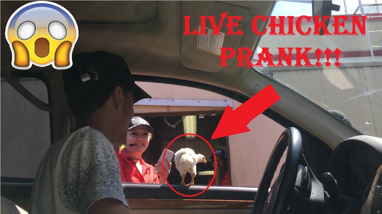 DRIVE THRU LIVE CHICKEN PRANK!! MUST WATCH YouTube