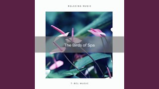 Power of Gaia and Spa Birds pt. 2