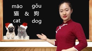 Learn Mandarin Chinese Radicals Through 猫 Cat and 狗 Dog