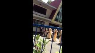 IMG 9290