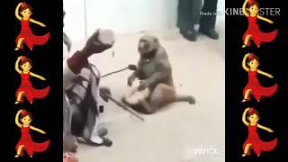 Ма намерам Очае👉😁😁😁😁