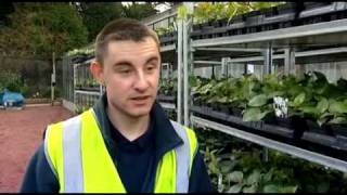 Employability Partnerships Case Study East Renfrewshire