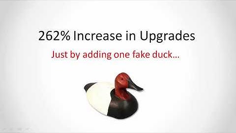 The Decoy Effect Sales Offer Strategy