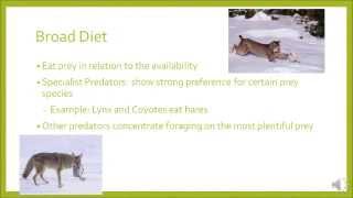 Predation and Herbivory: PCB 3044 Spring 2014 Extra Credit