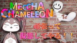 【めっちゃカメレオン】うまく隠れる方法ってあるんじゃろか？【CHUMPLANET/かいなうな】