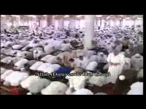 صلاة التراويح من المسجد النبوي الشريف ليلة 14 رمضان عام 1433 Clip