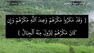 تلاوة مميزة من سورة الزمر للقارئ ماجد الزامل