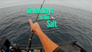 Seven Days in the Salt