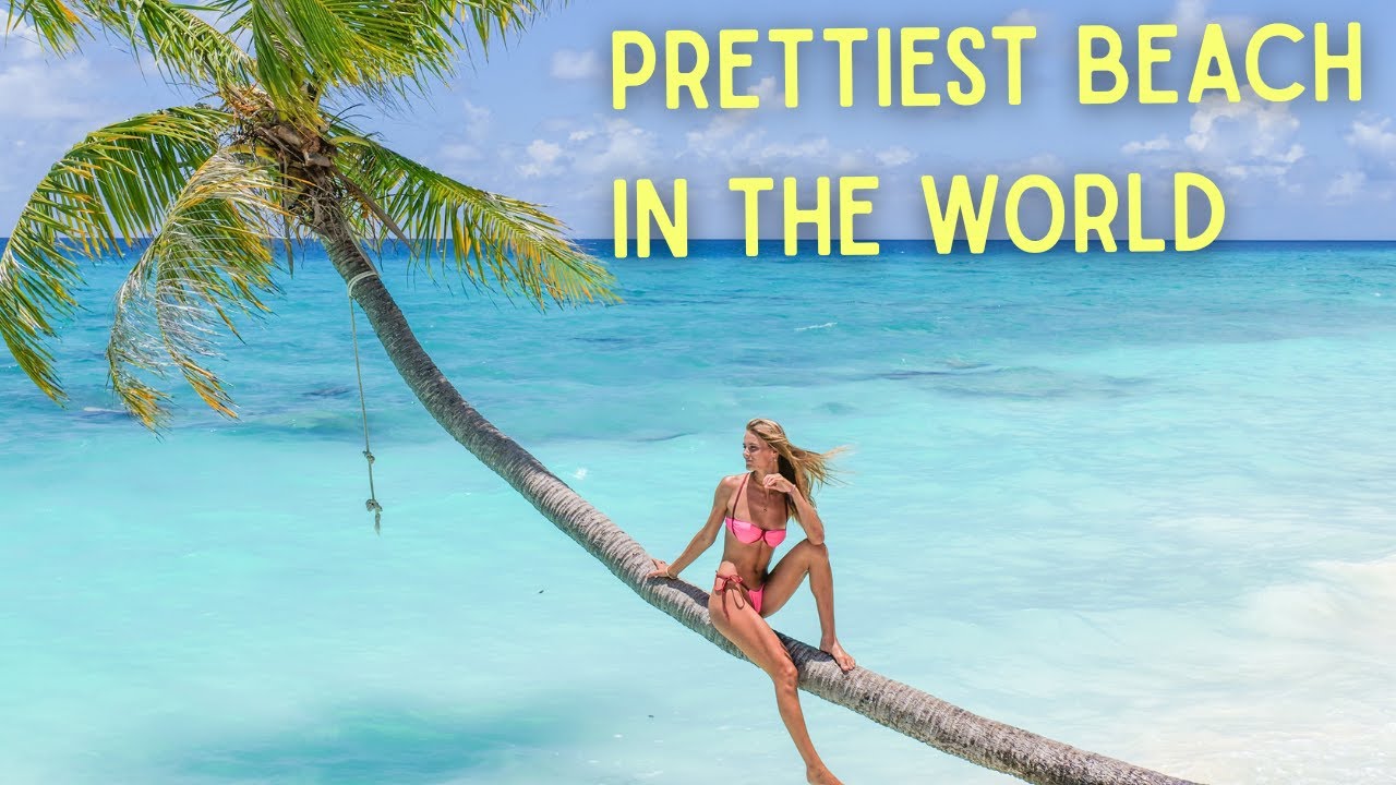 ⁣Ultimate remote island escape; sharks, beaches, & friends  [ep 191]