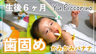 【歯固め】生後6ヶ月赤ちゃんカミカミバナナで歯固め初体験！