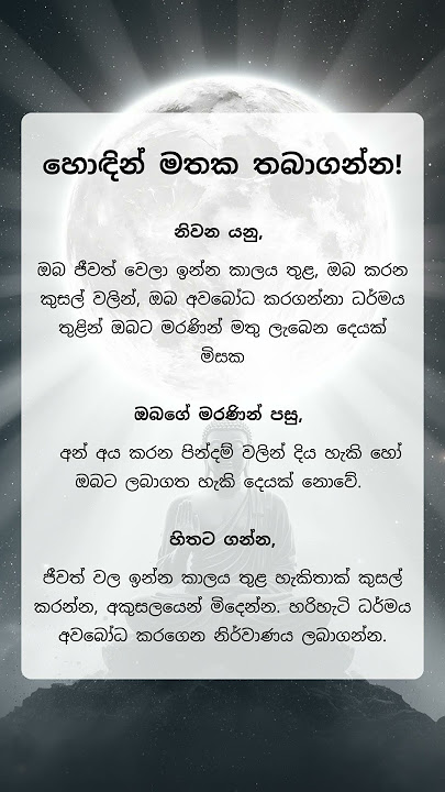 හිතන්න තප්පර අටක් : 309 #buddhism #buddhist #buddha #spirituality #motivation #lordbuddha #shorts
