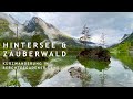 Der wunderschöne Hintersee & Zauberwald bei Ramsau - Berchtesgadener Land  - kleine Wanderung - 4K