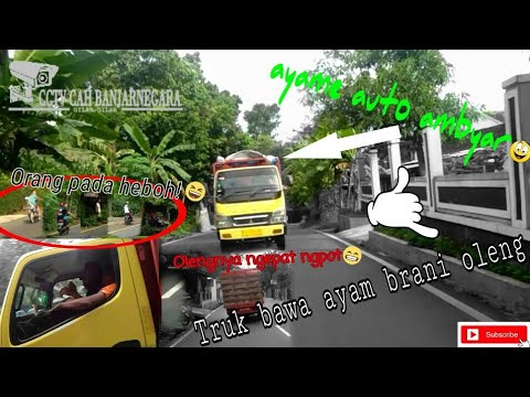  CCTV CAH BANJARNEGARA Truk  bawa  ayam  brani oleng 