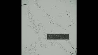 ✧ Isolated Material - Static Glow [ISMA002]