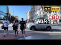 Auckland sunday late afternoon walking tour new zealand 4kr