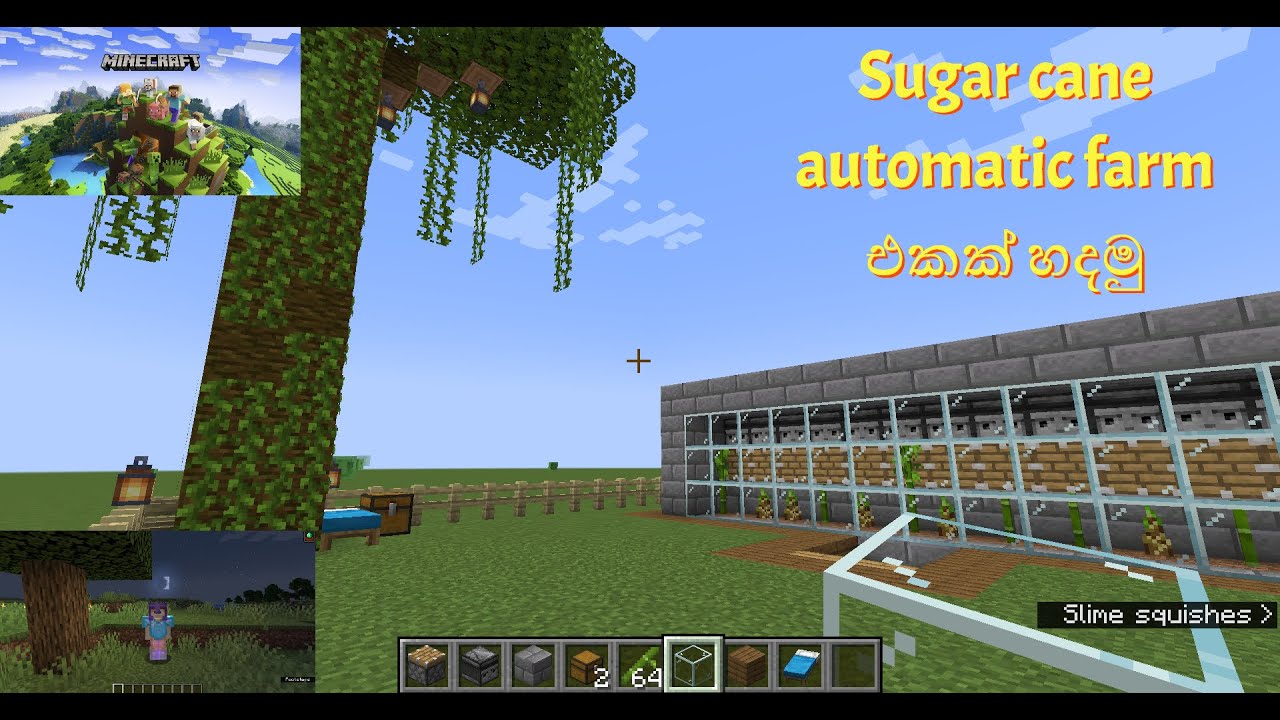How to make automatic sugar cane farm in minecraft sinaha - YouTube