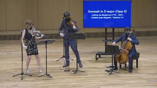 Beethoven Serenade op.8