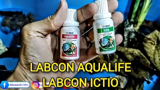 Quarentena Labcon Aqualife E Labcon Ictio Alcon, Antes De Soltar Os Peixes No Aquário Laguinho