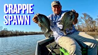 Catching Spawning Crappie / Sacalait In Henderson Louisiana (Catch & Cook) Fried Fish & Shrimp Rice