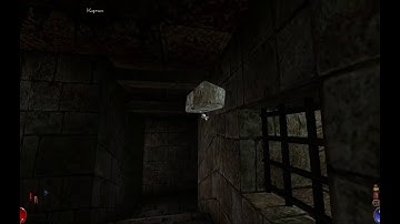 Arx Fatalis (2002) — Сroak-bug.