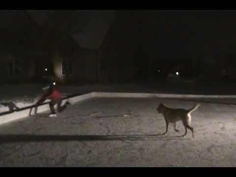 Ice Skate Jump Fail - YouTube